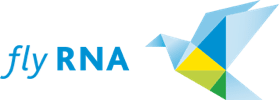 Rhein-Neckar Air (flyRNA)