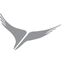 Arik Air