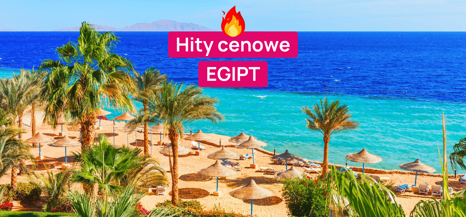 Hity cenowe